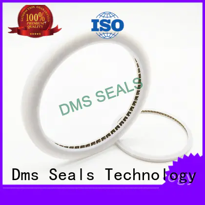 oil seal spring manufacturers for reciprocating piston rod or piston single acting seal