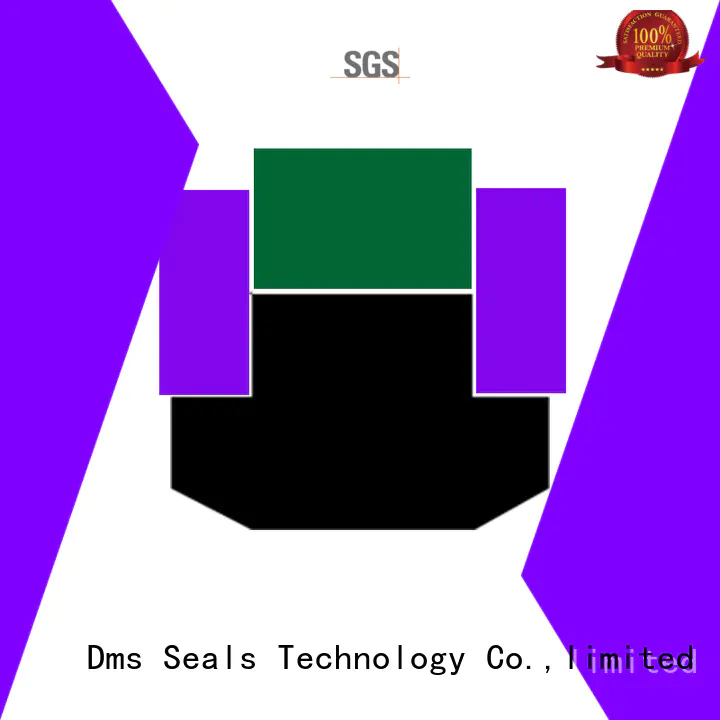 spg piston seals spgc for sale DMS Seal Manufacturer