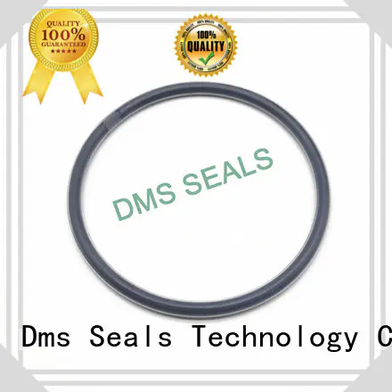 O Ring Manufacturer nbr in highly aggressive chemical processing DMS Seal Manufacturer