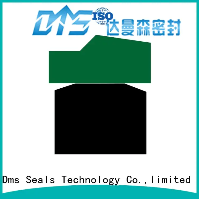 DMS Seal Manufacturer bronze hydraulic piston seals sizes with ptfe nbr and pom for light and medium hydraulic systems
