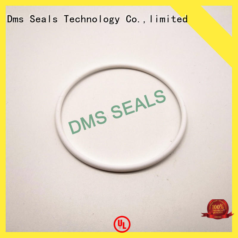 hydraulic wiper seals in highly aggressive chemical processing DMS Seal Manufacturer