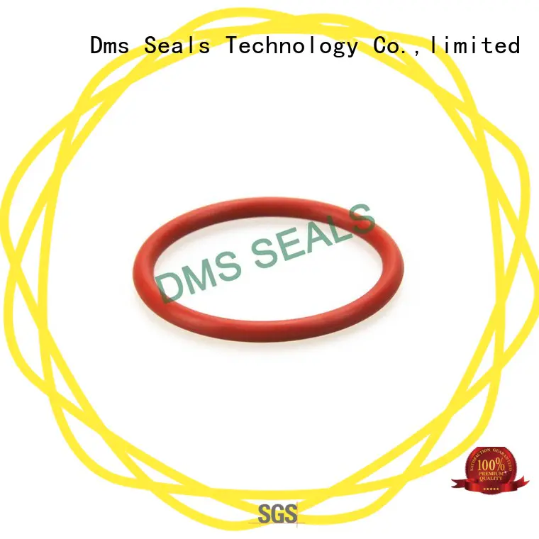 DMS Seal Manufacturer 6 inch rubber o ring factory for static sealing