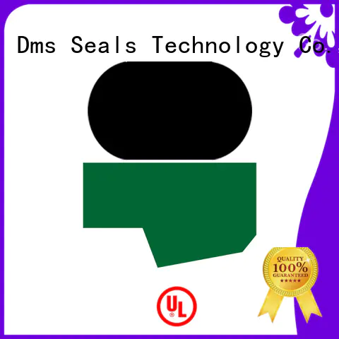 gsj piston rod seal ring environment DMS Seal Manufacturer