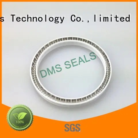 spring oring spring energized seals seal ptfe DMS Seal Manufacturer company