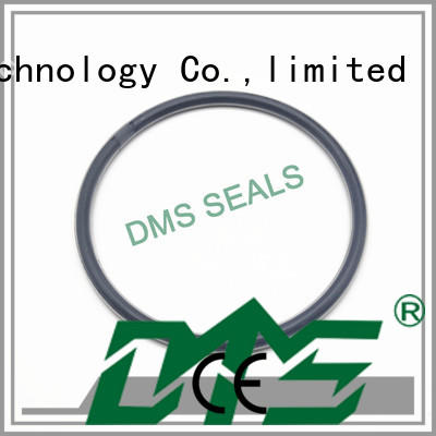 hydraulic oring oil seal ring seal DMS Seal Manufacturer company