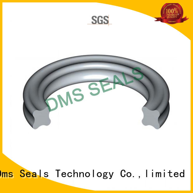 DMS Seal Manufacturer fep o ring seal kit custom in highly aggressive chemical processing