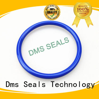 DMS Seal Manufacturer pu o ring kit manufacturer in highly aggressive chemical processing