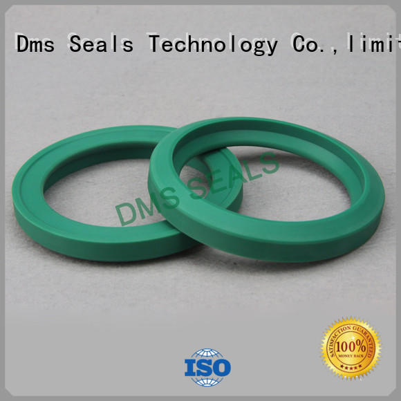 DMS Seal Manufacturer hydraulic oil seal supplier for piston and hydraulic cylinder