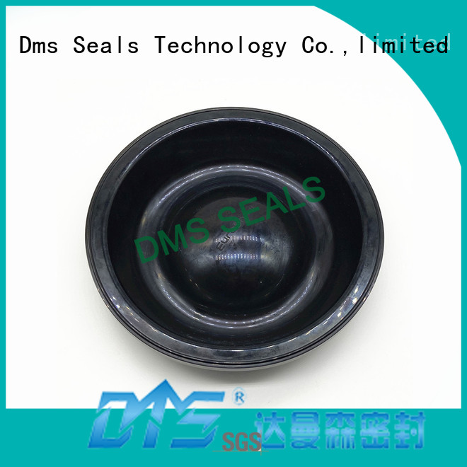 DMS Seal Manufacturer rubber door trim seal manufacturers for leakage gap