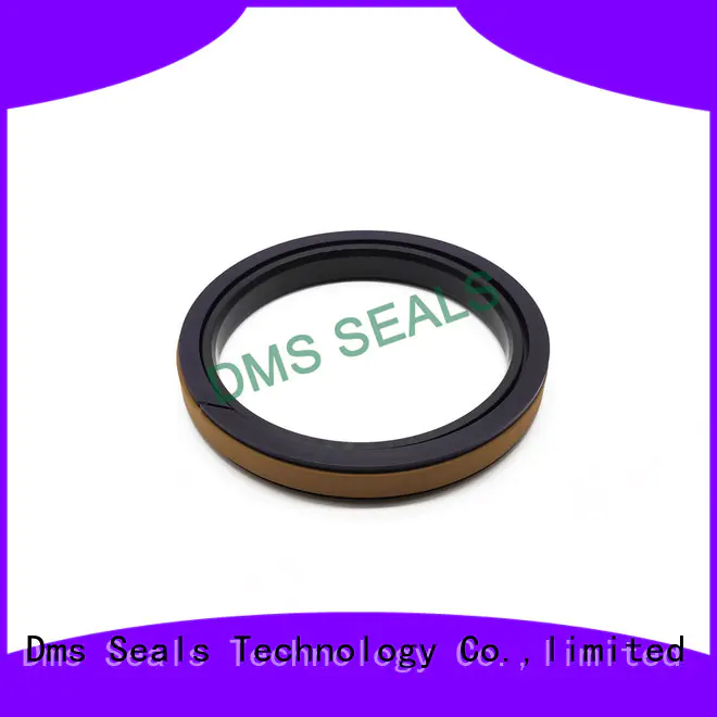 DMS Seal Manufacturer Best hydraulic seal kits suppliers glyd ring for light and medium hydraulic systems