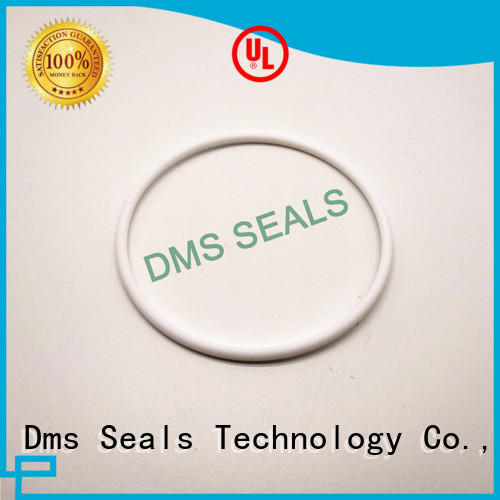 Quality DMS Seal Manufacturer Brand oil seal ring hydraulic