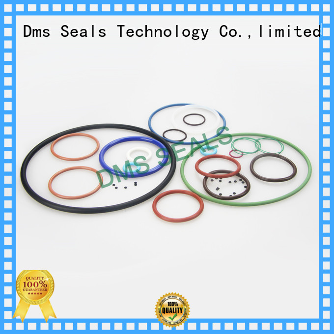 DMS Seal Manufacturer giant o ring for sale