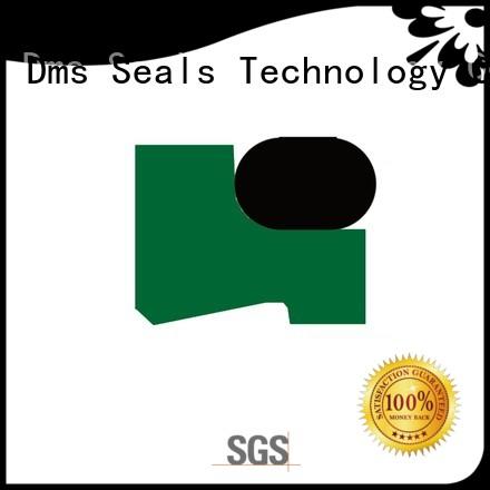 professional metric wiper seal manufacturer for injection molding machines DMS Seal Manufacturer