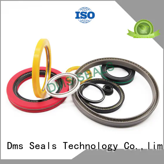 DMS Seal Manufacturer conical spring mechanical seal Supply for reciprocating piston rod or piston single acting seal