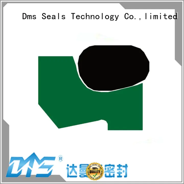 DMS Seal Manufacturer poly u seal factory for injection molding machines