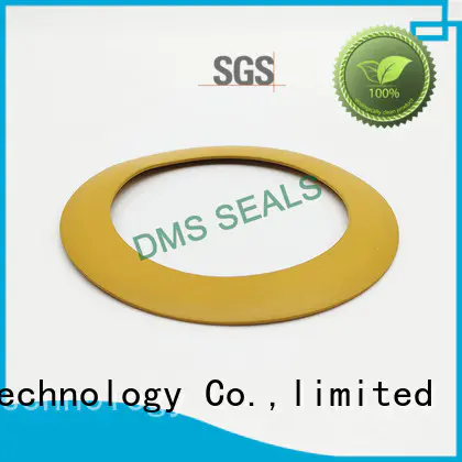 DMS Seal Manufacturer plastic soft rubber gasket torque for liquefied gas