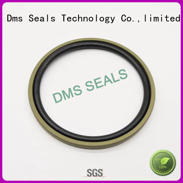 seal nbrfkm ptfe pneumatic piston seals DMS Seal Manufacturer Brand