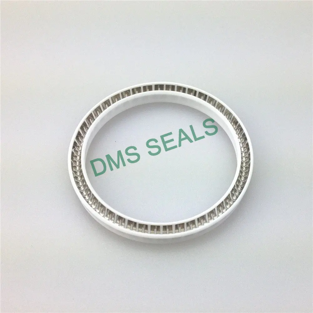 Virgin PTFE FDA Food and Medicine Industry Spring Energized Seal Hydraulic seals Manufacturer