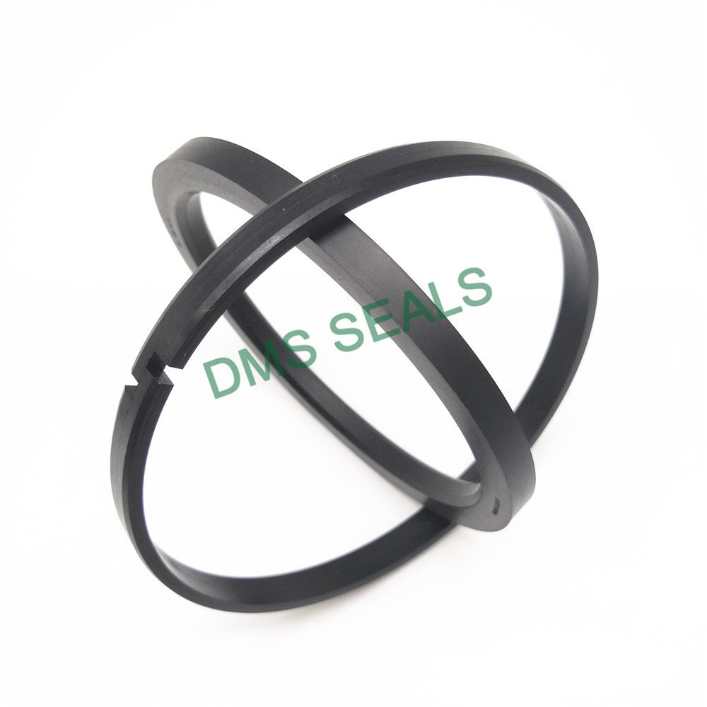 DMS Seal Manufacturer OK - PTFE Hydraulic Piston Seal with NBR/FKM O-Ring Piston Seals image1