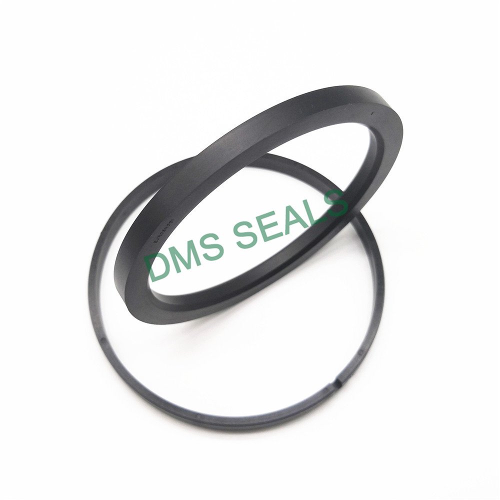 DMS Seal Manufacturer OK - PTFE Hydraulic Piston Seal with NBR/FKM O-Ring Piston Seals image1