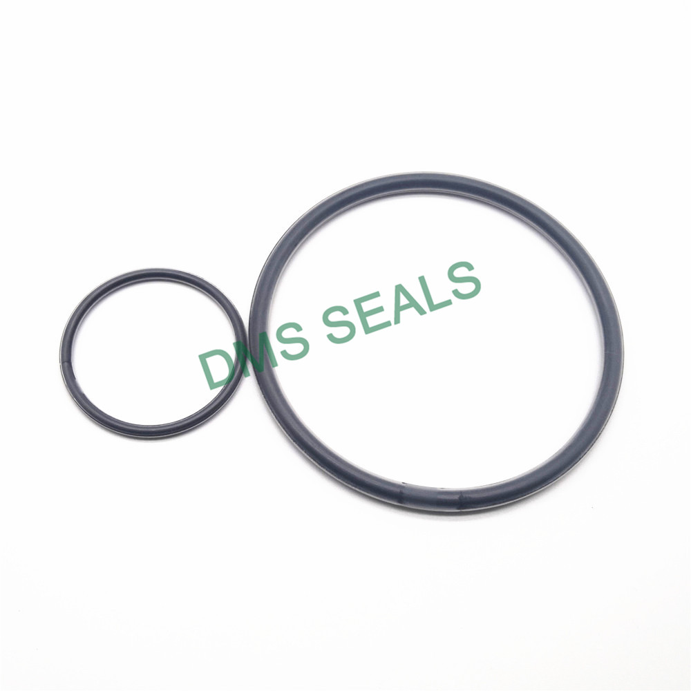 DMS Seal Manufacturer PTFE encapsulated viton O-Rings O-RINGS image2