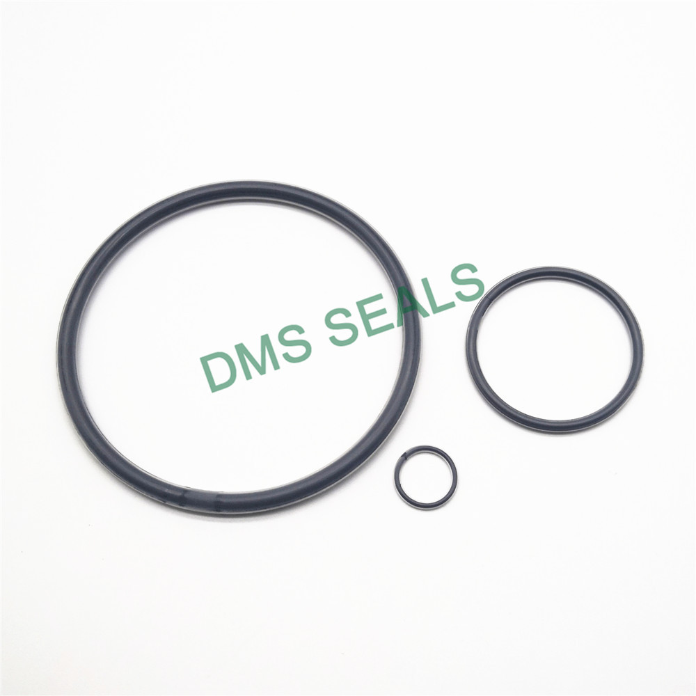 DMS Seal Manufacturer PTFE encapsulated viton O-Rings O-RINGS image2