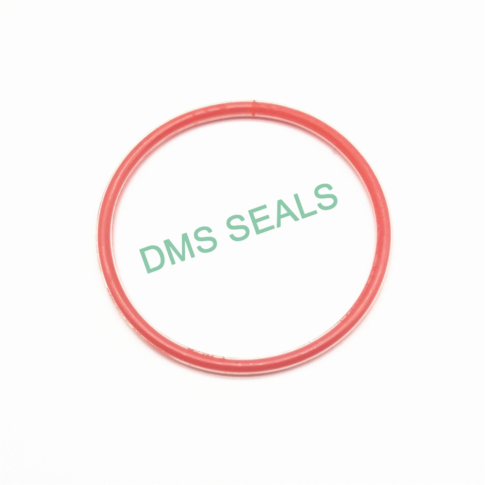 DMS Seal Manufacturer-PTFE teflon FEP PFA encapsulated silicone O-Ring