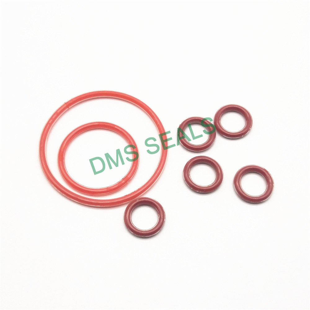 DMS Seal Manufacturer PTFE encapsulated silicone O-Rings O-RINGS image3