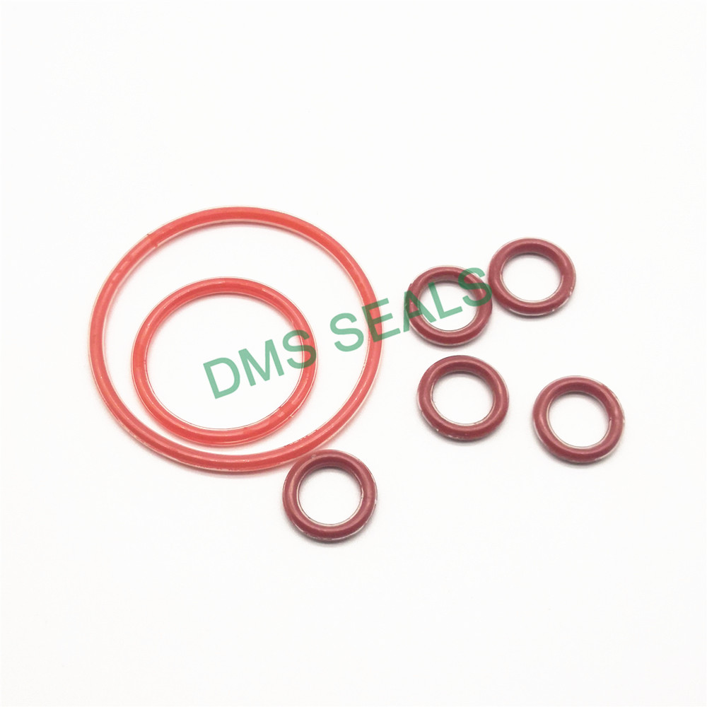 PTFE teflon FEP PFA encapsulated silicone O-Ring