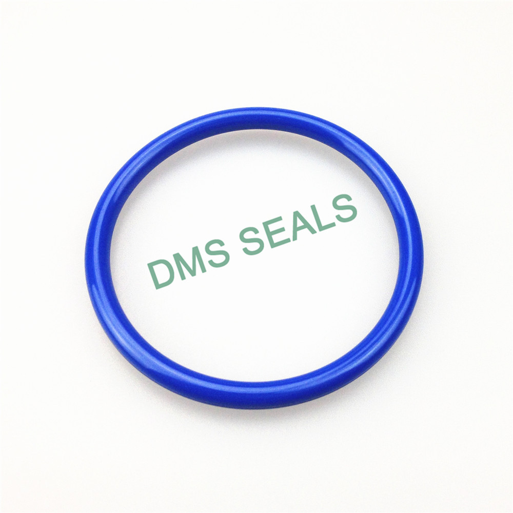 DMS Seal Manufacturer custom made seal rings for business for static sealing-1