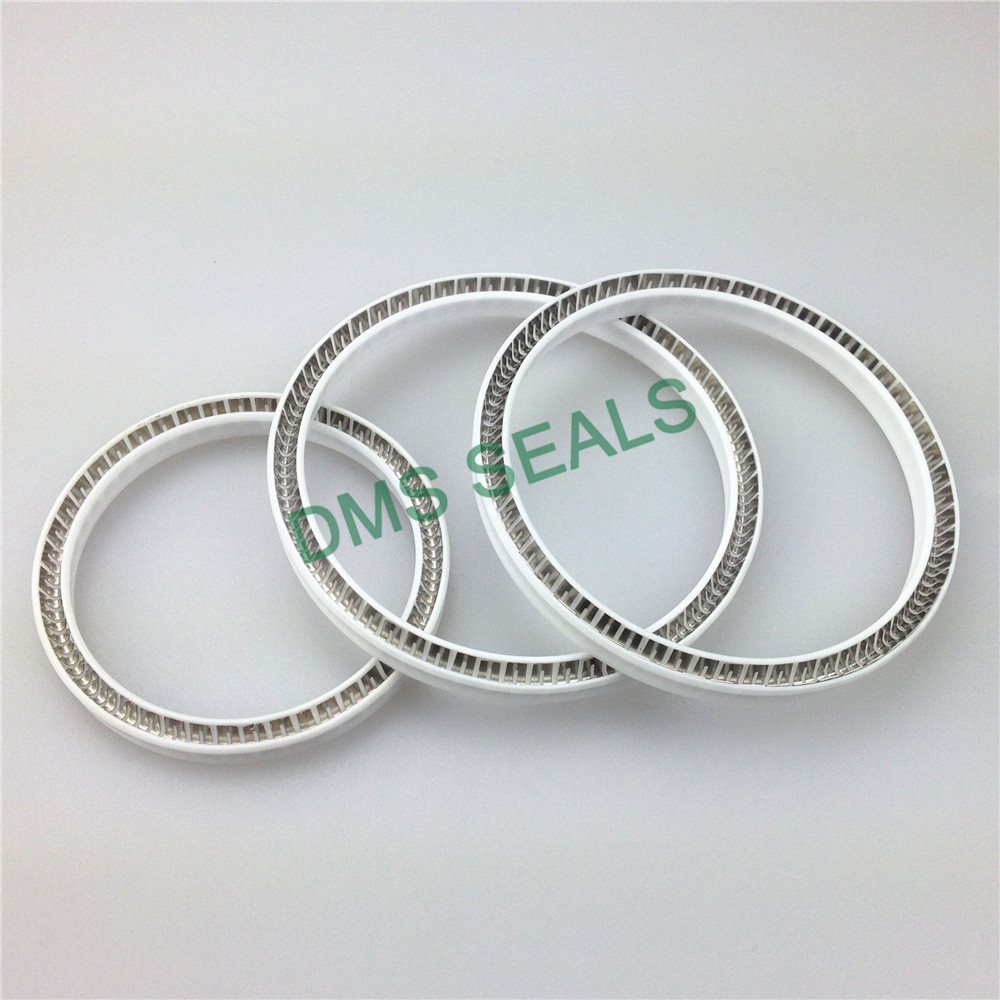 Virgin PTFE FDA Food and Medicine Industry Spring Energized Seal Hydraulic seals Manufacturer