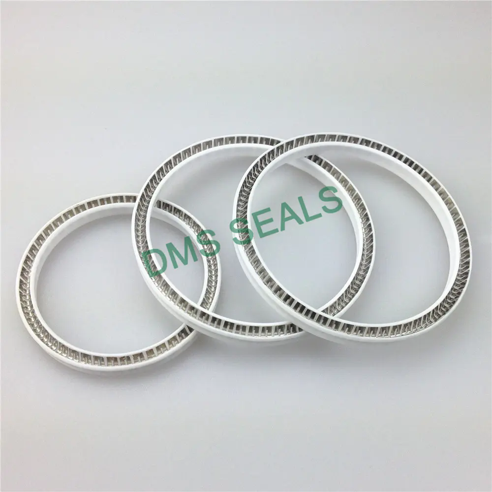 Virgin PTFE FDA Food and Medicine Industry Spring Energized Seal Mechanical Seal Manufacturers