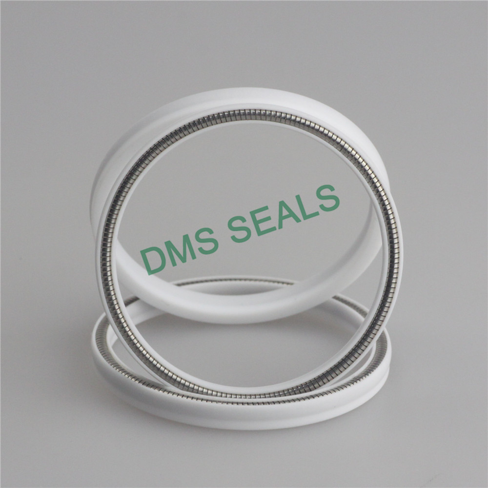 Virgin PTFE FDA Food and Medicine Industry Spring Energized Seal Hydraulic seals Manufacturer