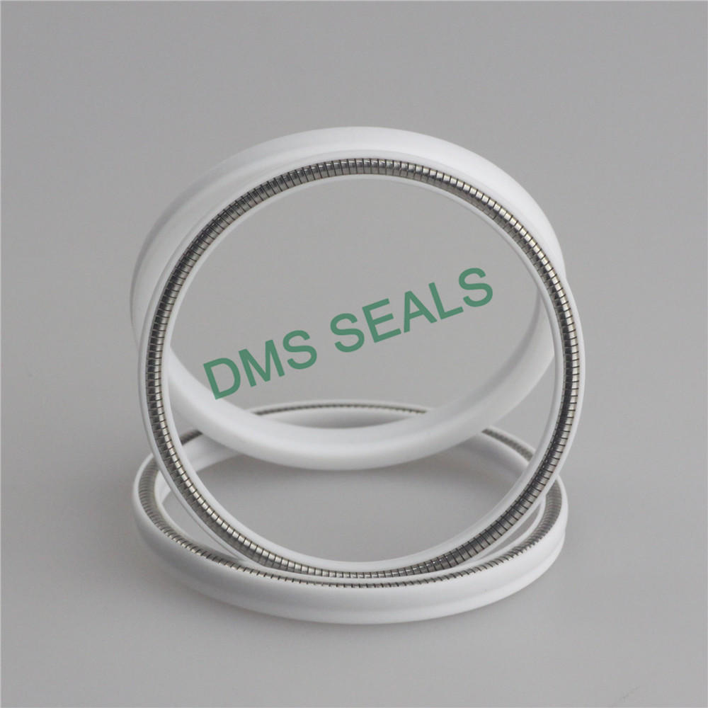 Virgin PTFE FDA Food and Medicine Industry Spring Energized Seal Mechanical Seal Manufacturers