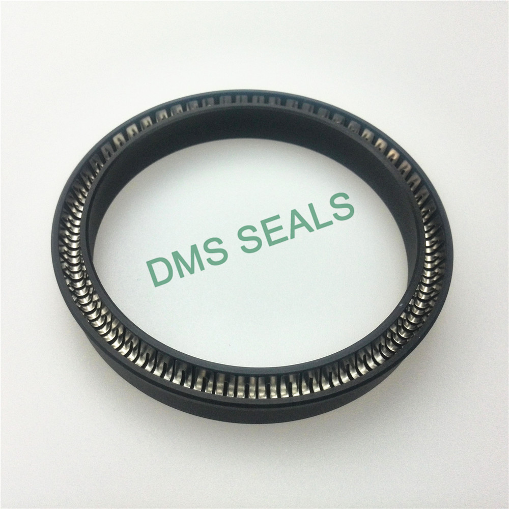 DMS Seal Manufacturer Best oil seal spring for business for aviation-2