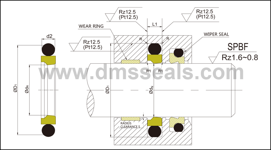 DMS Seal Manufacturer best epdm seals suppliers o ring