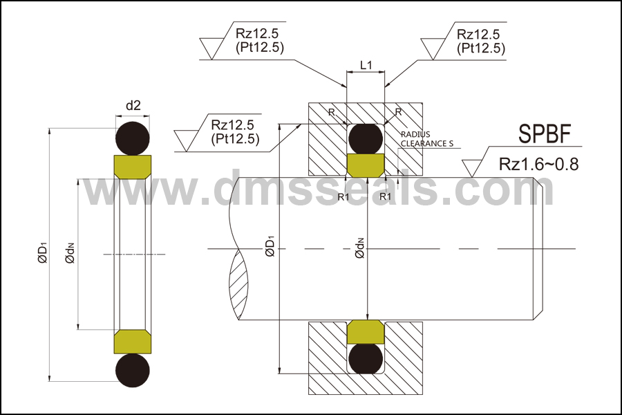 DMS Seals Top hydraulic cylinder gaskets supply for pressure work and sliding high speed occasions-1