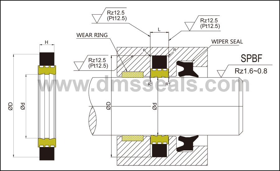 DMS Seals kit seal cylinder Suppliers for sale-1