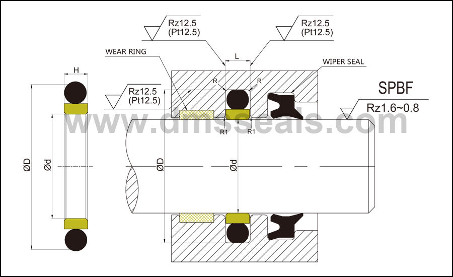 DMS Seal Manufacturer Latest push rod seal for business for sale