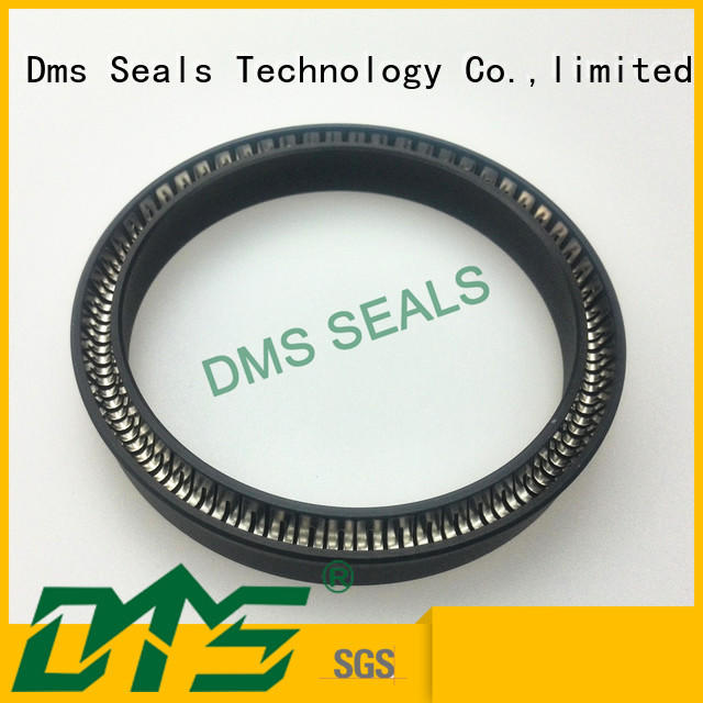 oring spring hydraulic spring energized seals ptfe DMS Seal Manufacturer Brand