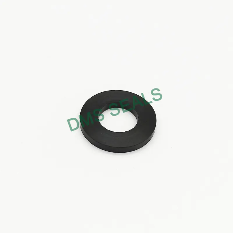 DMS Seals viton gasket for liquefied gas