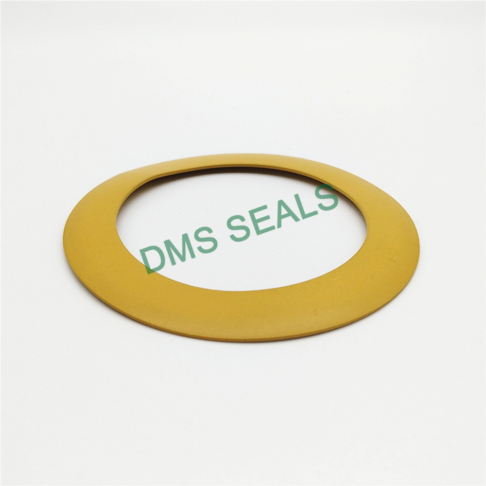 DMS Seal Manufacturer virgin elastomeric gasket torque for preventing the seal from being squeezed-1