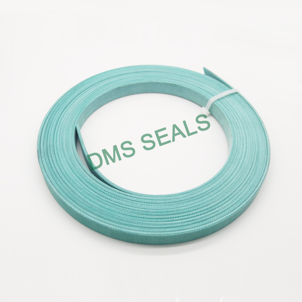 DMS Seal Manufacturer bearing element guide strip for sale-2