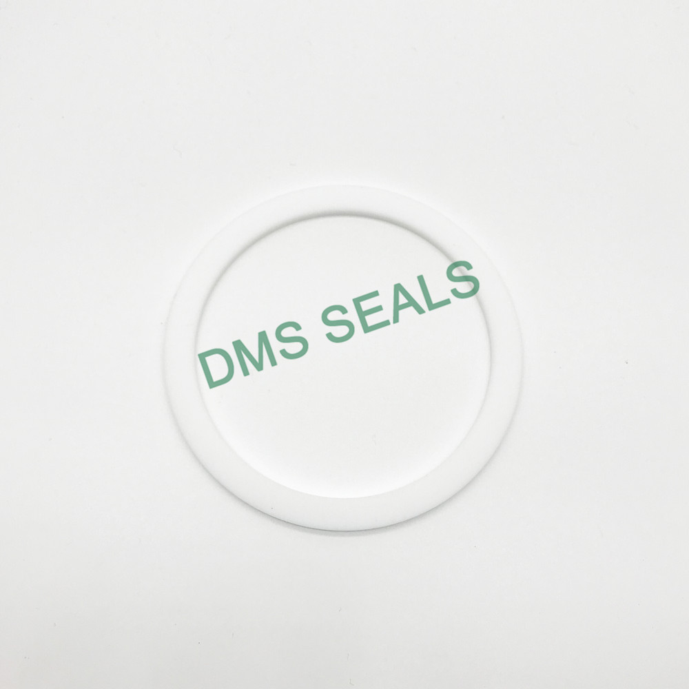 DMS Seal Manufacturer-Virgin PTFE Back-Up Ring-1
