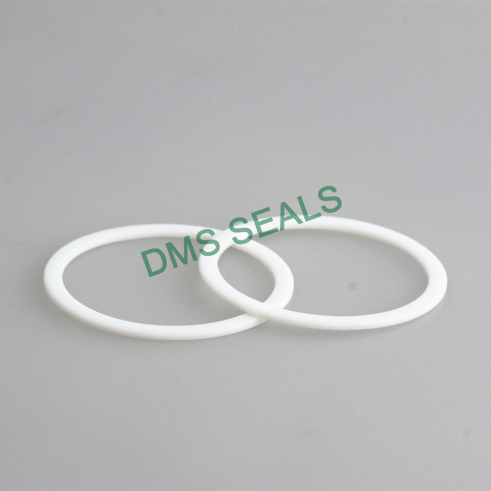 ptfe door gasket manufacturers torque for preventing the seal from being squeezed-1