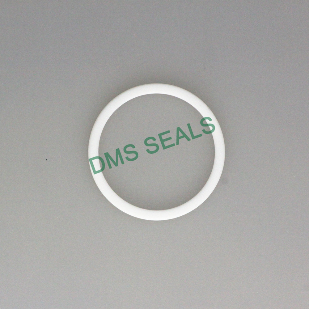 DMS Seal Manufacturer-Virgin PTFE Back-Up Ring-2