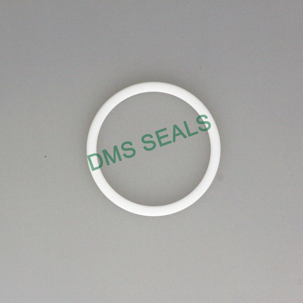 product-DMS Seal Manufacturer spiral wound gasket type r material for preventing the seal from being