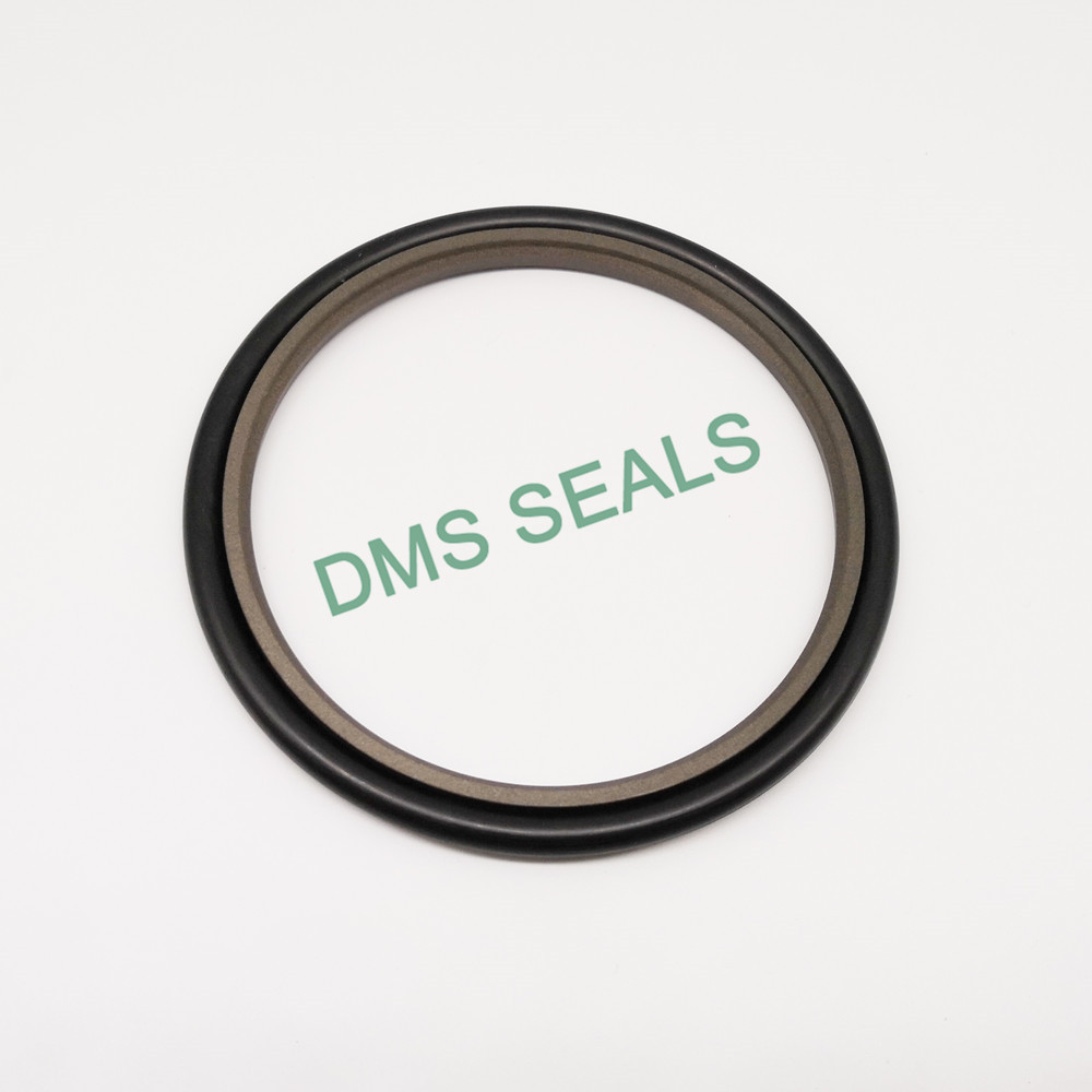 DMS Seal Manufacturer compact piston o ring-2