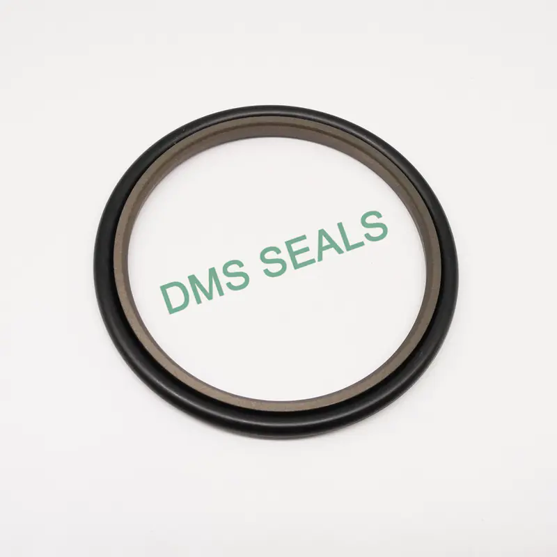 High-quality oil seal manufacturers china company for larger piston clearance