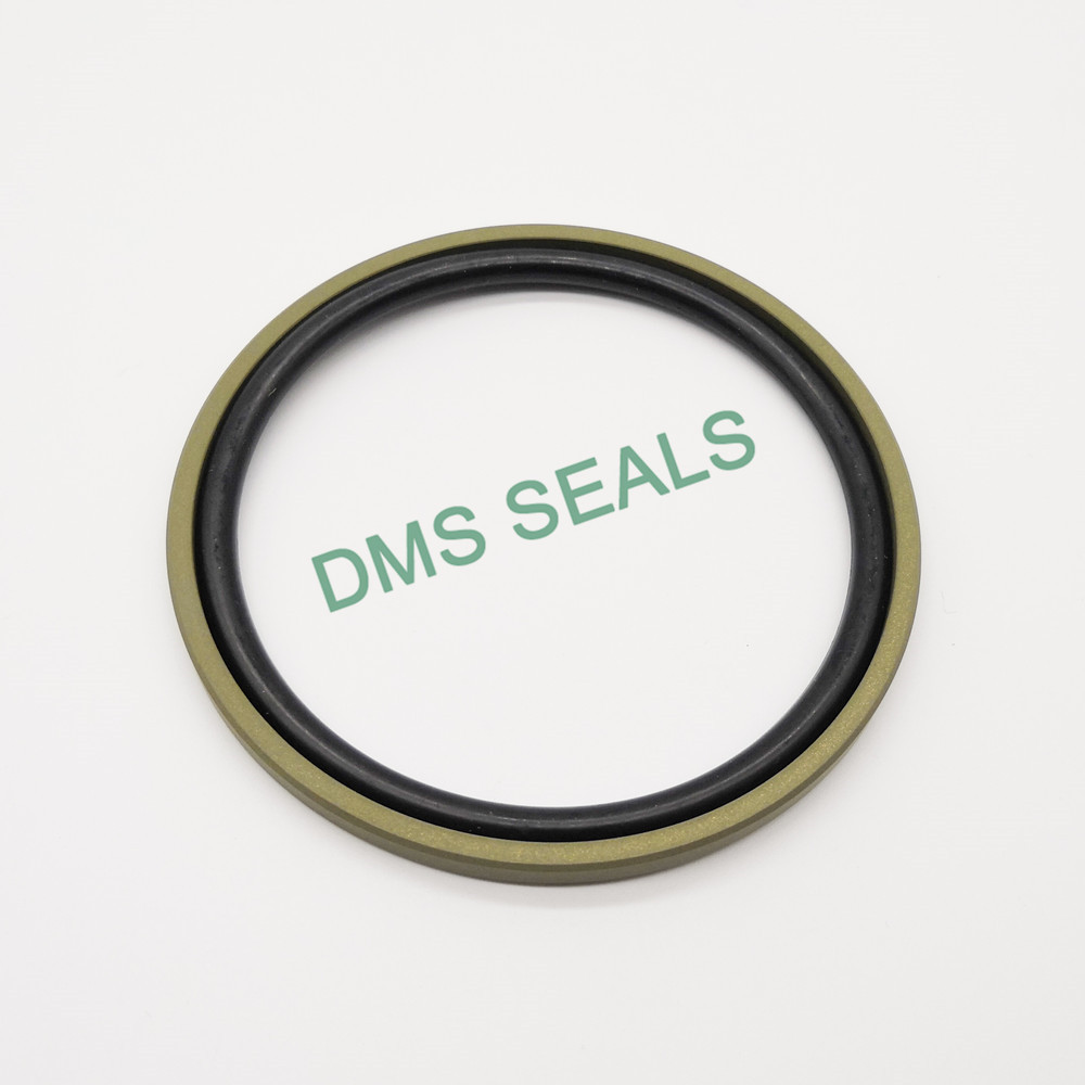 DMS Seal Manufacturer hydraulic rod seals supplier-2